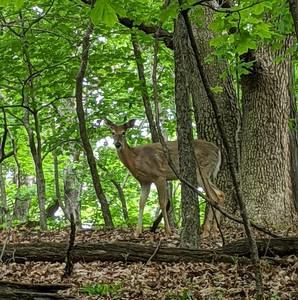 Meet your Posher, Karin